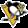 Pittsburgh Penguins